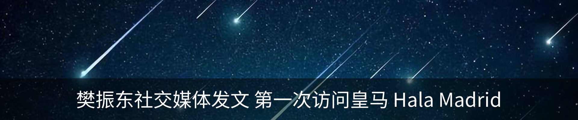 最新动态